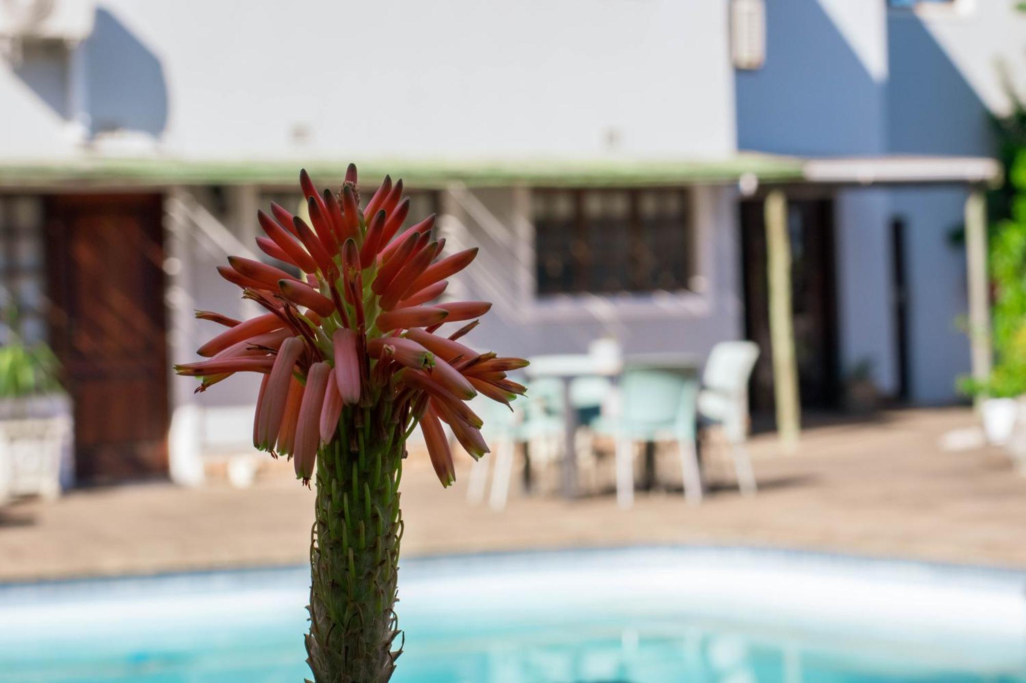 African Sands B&B Amanzimtoti Exteriör bild